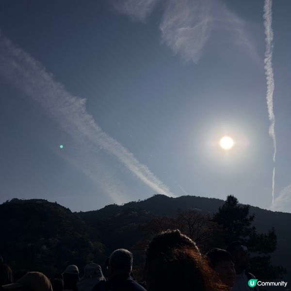 嵐山渡月橋🌸🌳🏞️絕美 Kyoto 必打卡!
