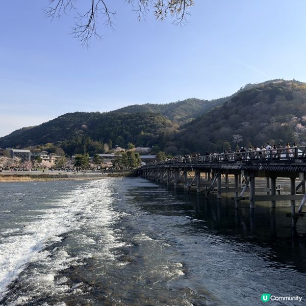 嵐山渡月橋🌸🌳🏞️絕美 Kyoto 必打卡!