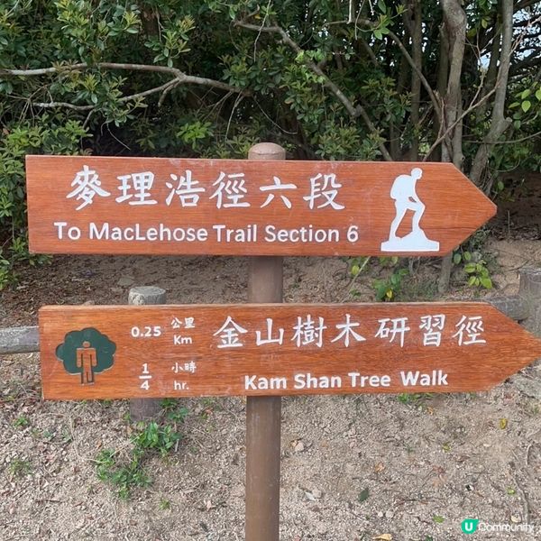 金山郊野公園