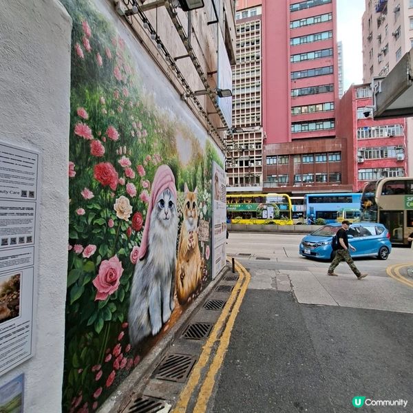 終於親身見到--油麻地巨型貓咪壁畫