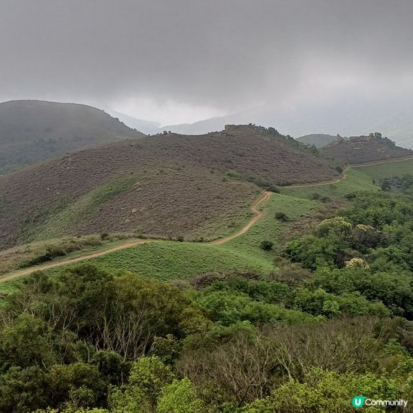 東涌 老虎頭 愉景灣