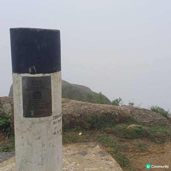 東涌 老虎頭 愉景灣