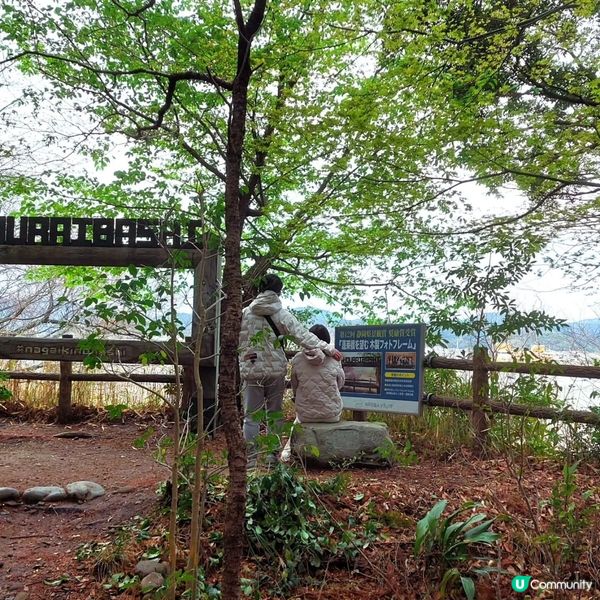 蓬萊橋賞春景 🍃🏞️ 897.4 公尺挑戰 去厄運