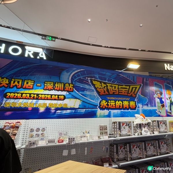 中國/深圳數碼世界主題快閃必打卡  