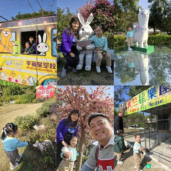 蝶豆花園 🐏🦋 🦖🛶