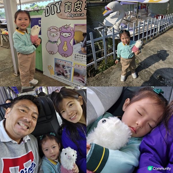 蝶豆花園 🐏🦋 🦖🛶