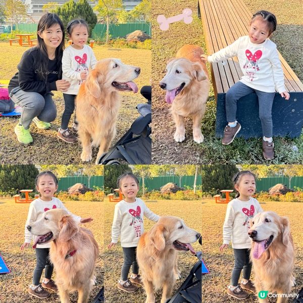 彭福公園 ⛩️ 🐕