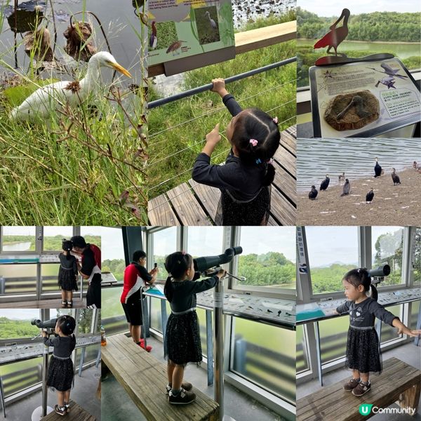 濕地公園 🐜🐛🐝🐞🦗🦀🐟🦢