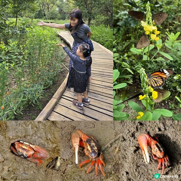 濕地公園 🐜🐛🐝🐞🦗🦀🐟🦢