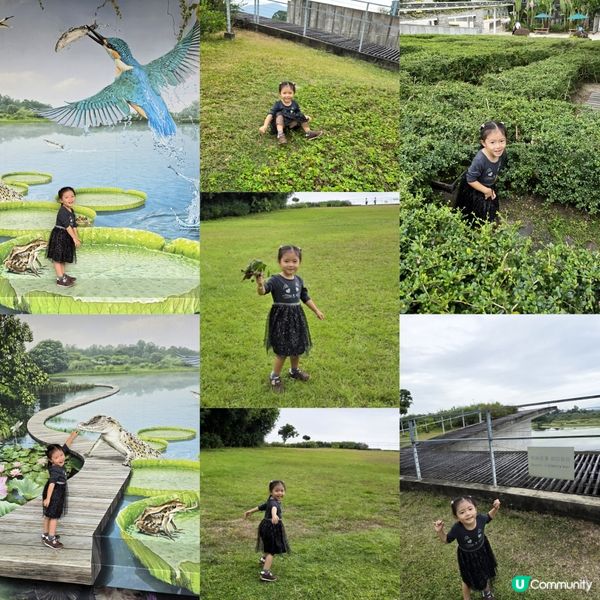 濕地公園 🐜🐛🐝🐞🦗🦀🐟🦢