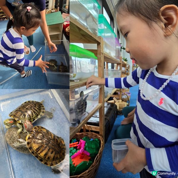 蒙特梭利課室體驗活動 🔍🐢💡🧽