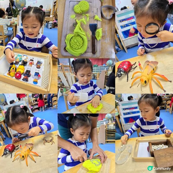蒙特梭利課室體驗活動 🔍🐢💡🧽