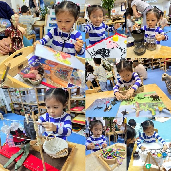 蒙特梭利課室體驗活動 🔍🐢💡🧽