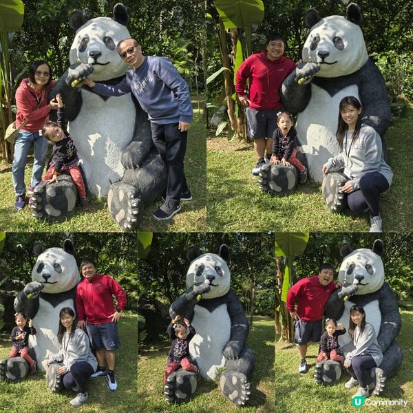 元州仔冬日嘉年華 🎄🐼