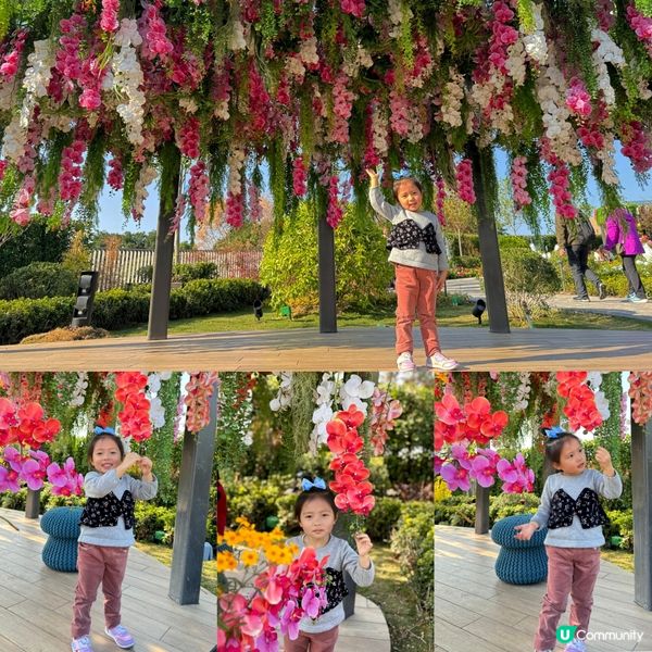Sai Sha Go Park 🌸
