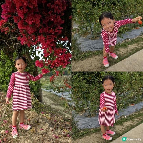 塱原自然生態公園 🦤🌾