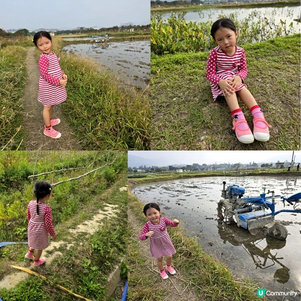 塱原自然生態公園 🦤🌾