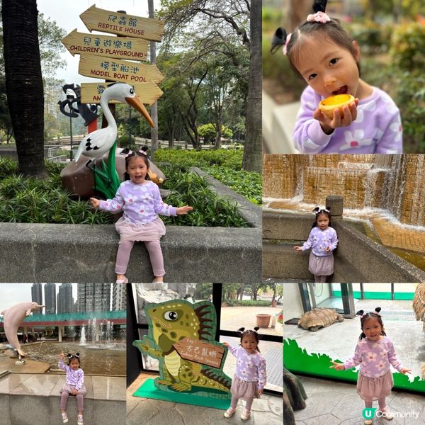 屯門公園 🐢🐊🛝⛱️
