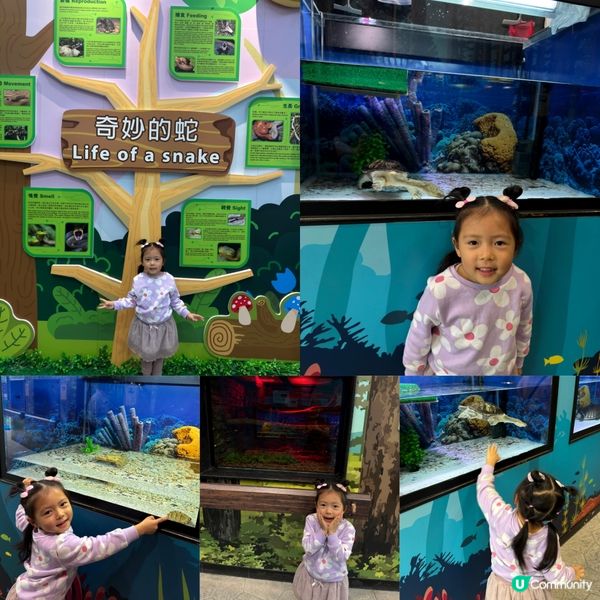 屯門公園 🐢🐊🛝⛱️