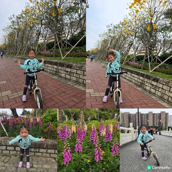 交通安全公園 🚲🚦🚧