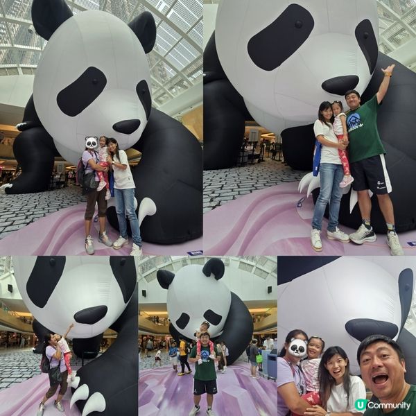 Panda Day 🐼🪻