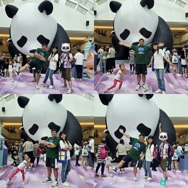 Panda Day 🐼🪻