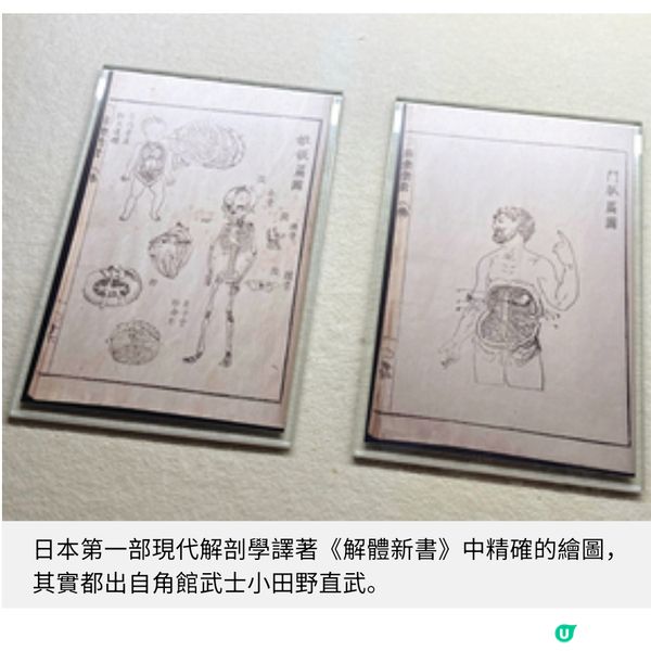 遊秋田角館望族青柳家體驗武士精神賞春季櫻花