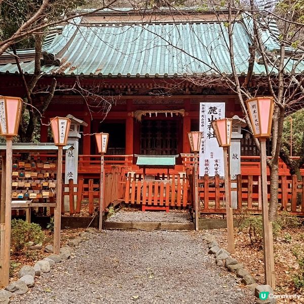靜岡淺間神社 櫻花寺廟絕美😍⛩️