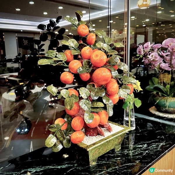好多菌呀