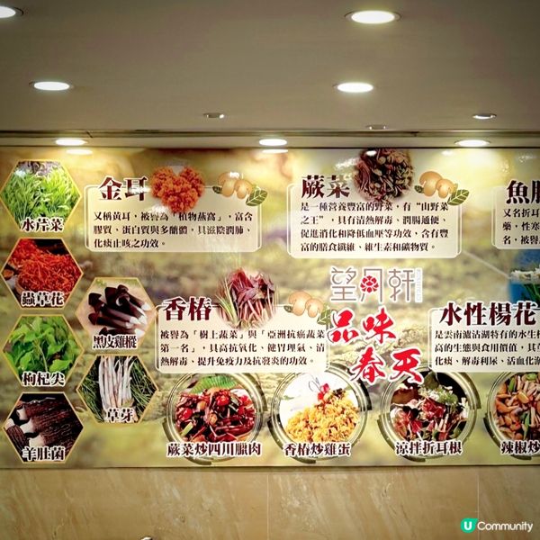 好多菌呀