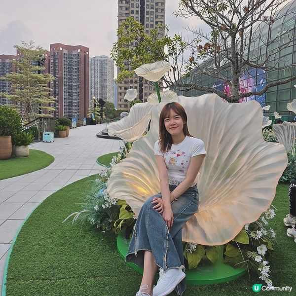 沙田期間限定💕夢幻蓮花海 📸💖