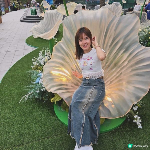 沙田期間限定💕夢幻蓮花海 📸💖