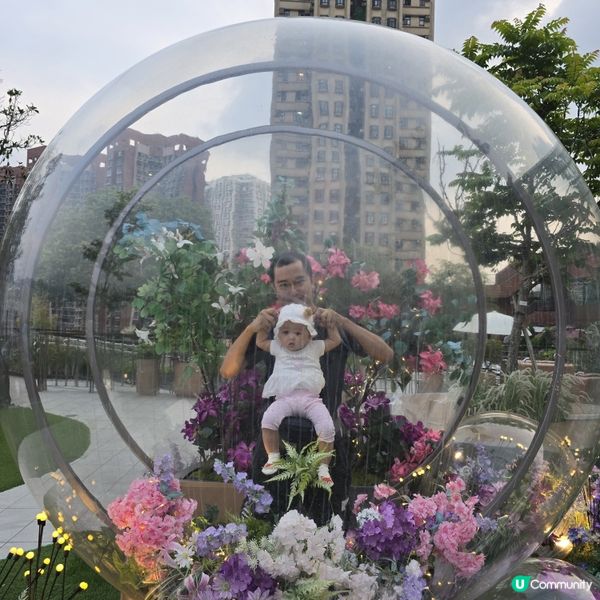 沙田期間限定💕夢幻蓮花海 📸💖