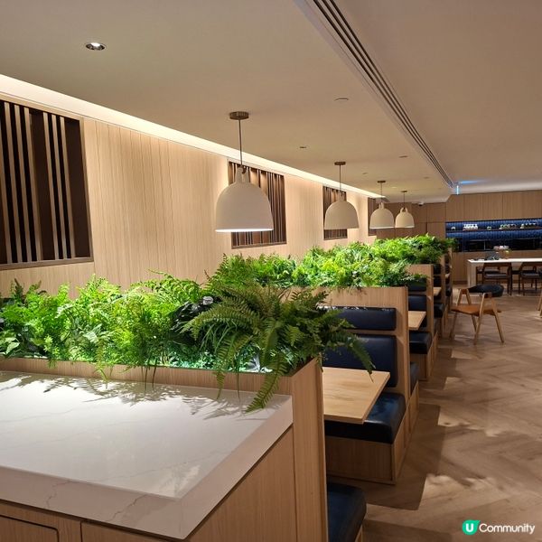 ✨香港親子Staycation酒店介紹😍荃灣西如心酒店💕