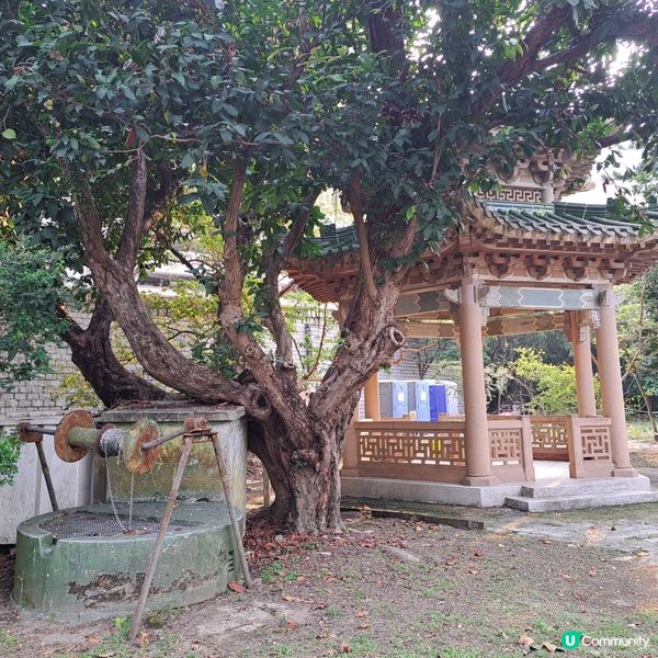 歷史大宅導賞團🚶‍♀️🌿景賢里