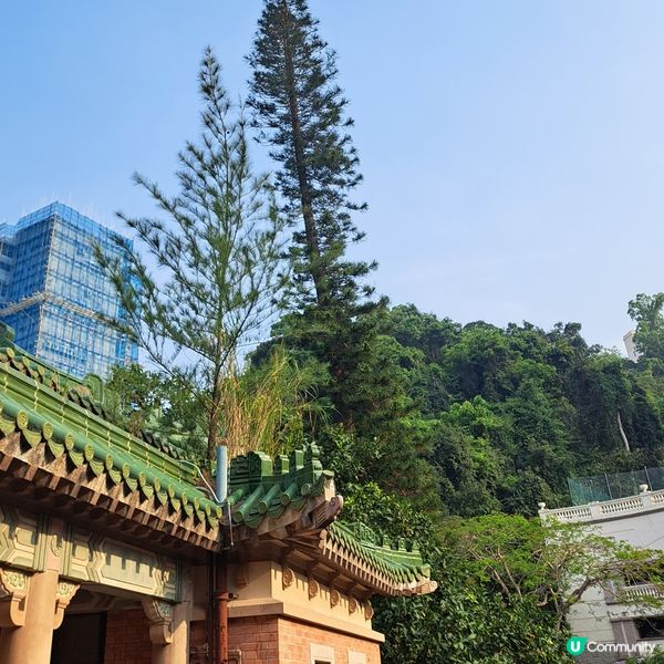 歷史大宅導賞團🚶‍♀️🌿景賢里