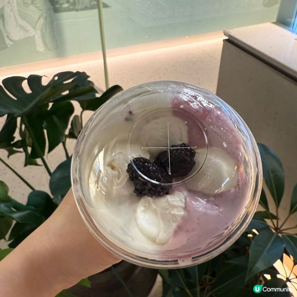 酸奶樓下紫玉🍇🥤