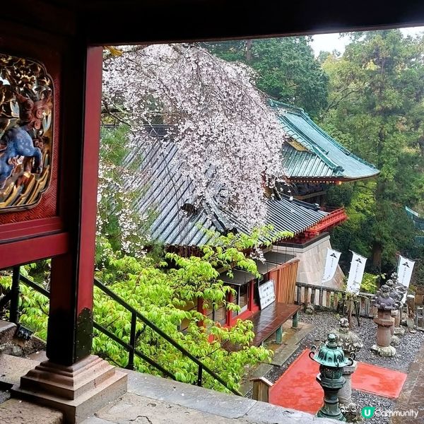 石階登神域，家康靈廟🇯🇵✨ 久能山東照宮