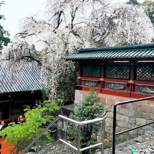 石階登神域，家康靈廟🇯🇵✨ 久能山東照宮