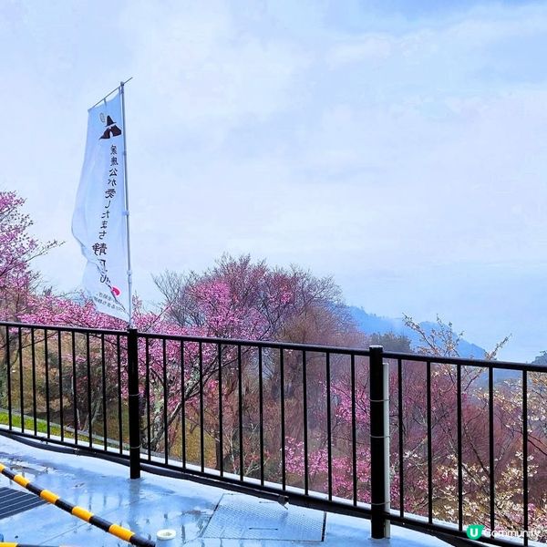 石階登神域，家康靈廟🇯🇵✨ 久能山東照宮