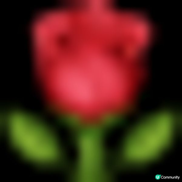 【台式新品香煎雞扒滷肉飯出場🤩！】