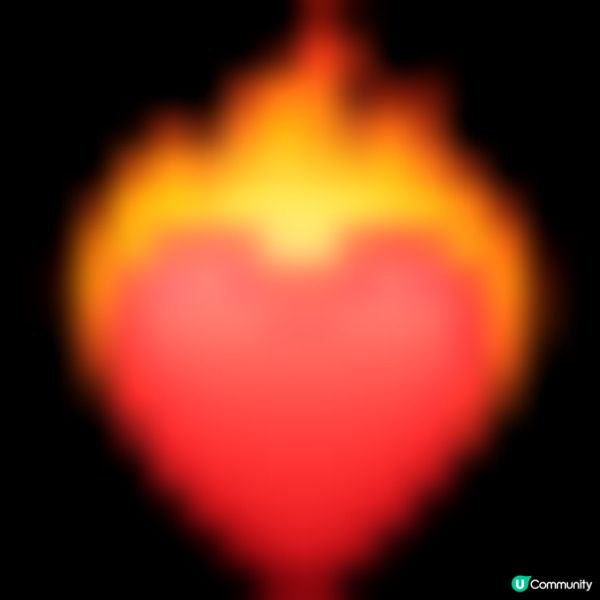 【台式新品香煎雞扒滷肉飯出場🤩！】