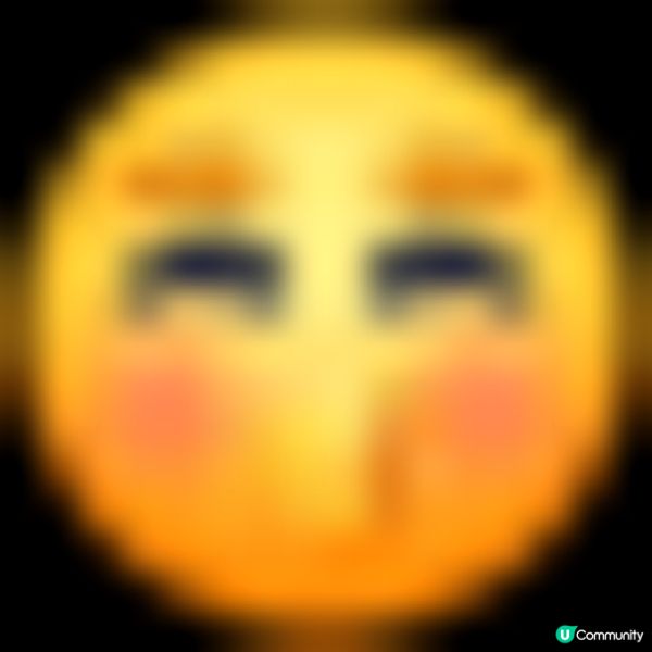 【台式新品香煎雞扒滷肉飯出場🤩！】