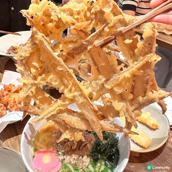 福岡人氣烏冬過江龍🍜