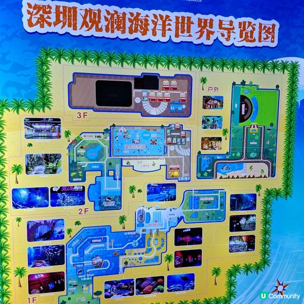 ✨️假日好去處分享💕遊覧觀瀾湖生態運動公社😍