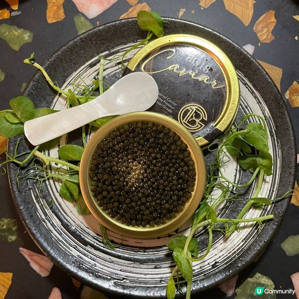 📝銅鑼灣。Arcadia