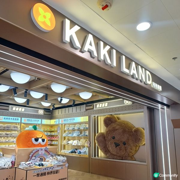 嘩！九龍灣有超大毛毛熊公仔！🧸🐻✨