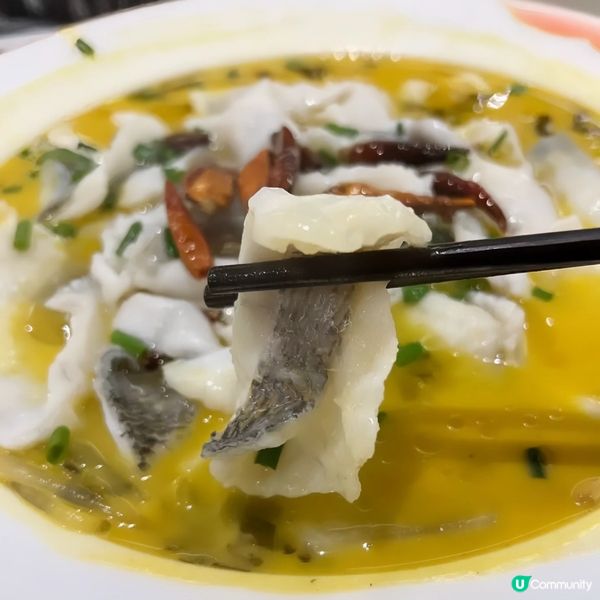 川菜霸氣來襲！🌶️🥵