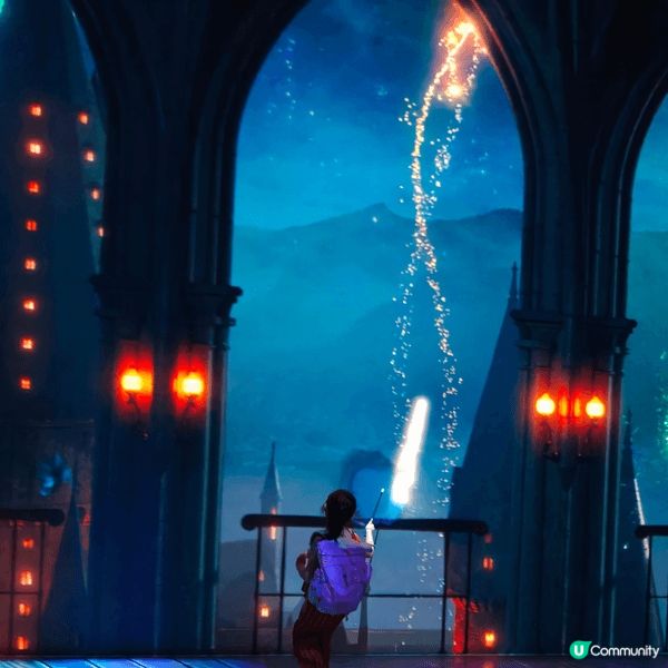 Harry Potter and the Magic of ...