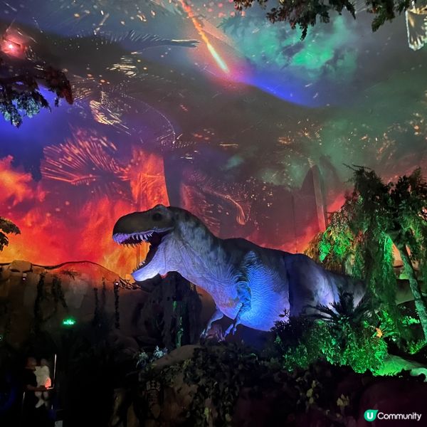 長隆野生動物世界 - 1日完全玩唔哂！